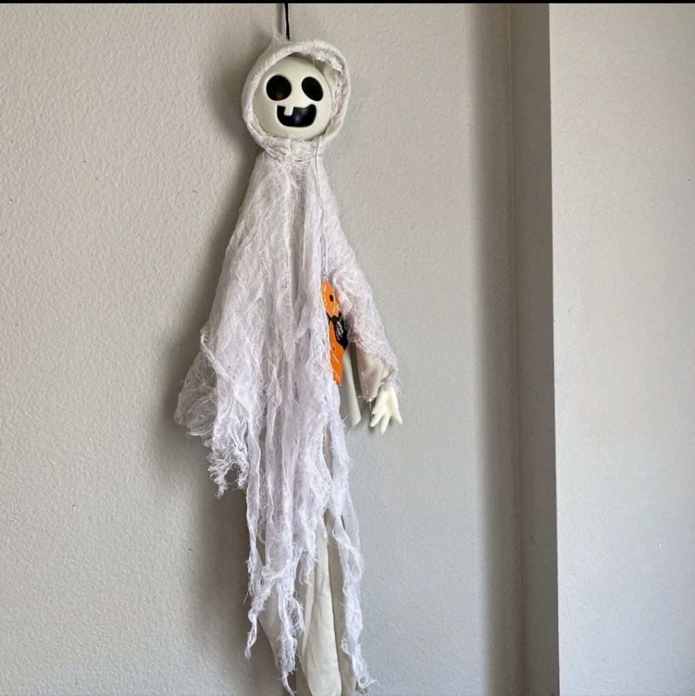 Ghost Ghoul Light Up Halloween Decor- Hyde & EEK!  WORKS